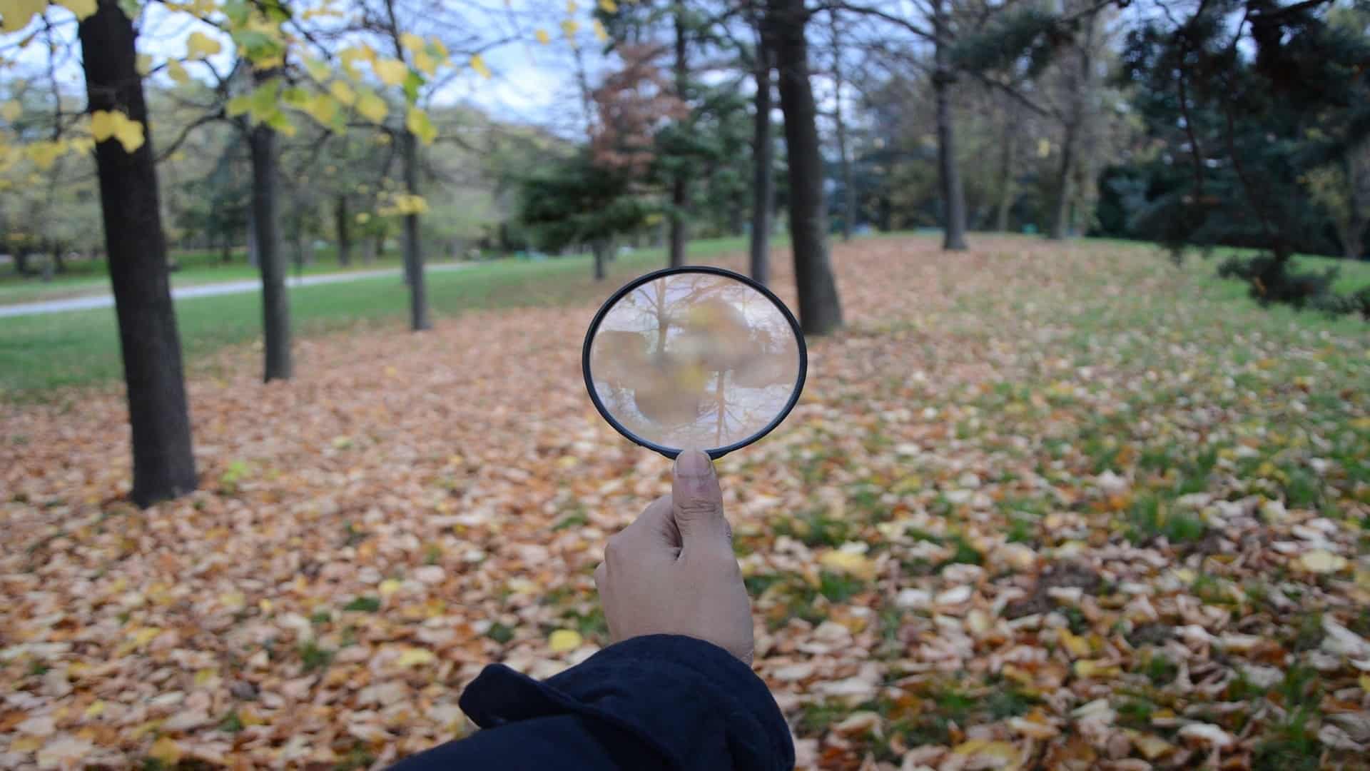 géobiologie recherche